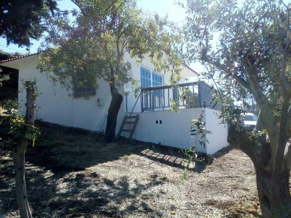 Blackmountain Sea Spot Holiday home